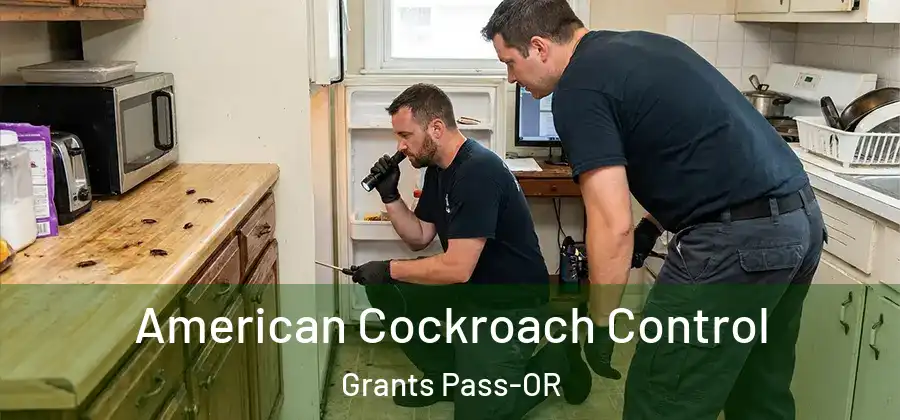  American Cockroach Control Grants Pass-OR