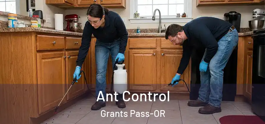  Ant Control Grants Pass-OR