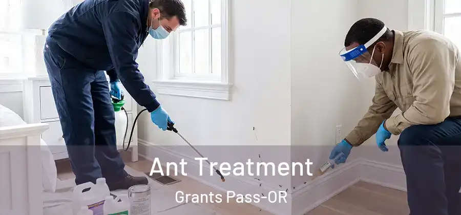  Ant Treatment Grants Pass-OR