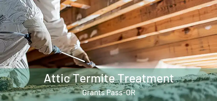  Attic Termite Treatment Grants Pass-OR