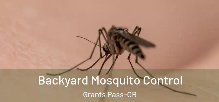  Backyard Mosquito Control Grants Pass-OR