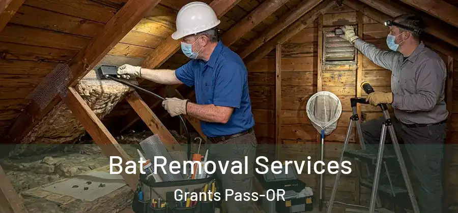  Bat Removal Services Grants Pass-OR
