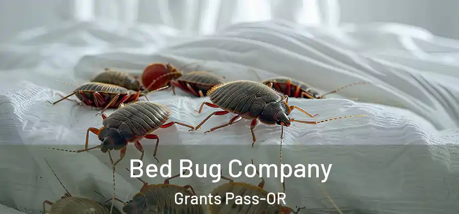  Bed Bug Company Grants Pass-OR
