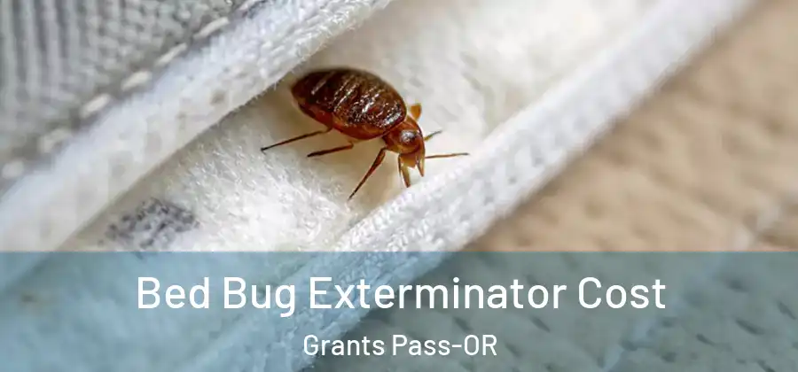  Bed Bug Exterminator Cost Grants Pass-OR