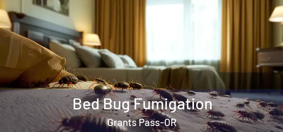  Bed Bug Fumigation Grants Pass-OR