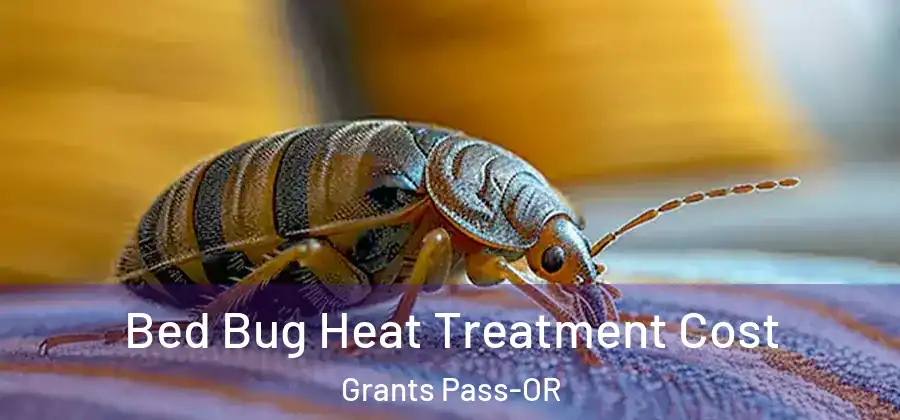  Bed Bug Heat Treatment Cost Grants Pass-OR