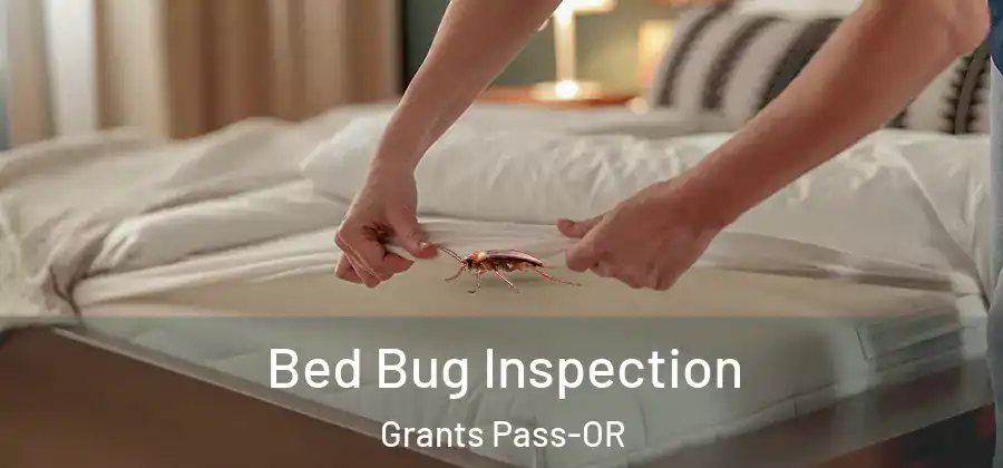  Bed Bug Inspection Grants Pass-OR
