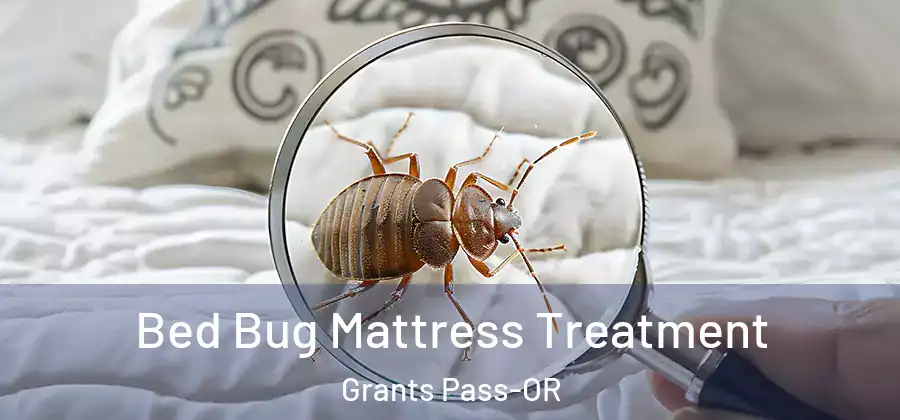  Bed Bug Mattress Treatment Grants Pass-OR