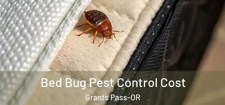  Bed Bug Pest Control Cost Grants Pass-OR