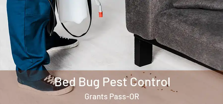  Bed Bug Pest Control Grants Pass-OR