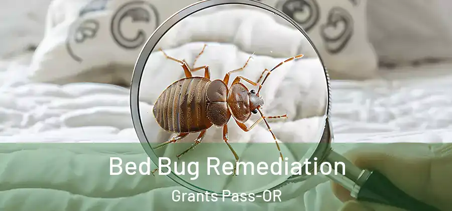  Bed Bug Remediation Grants Pass-OR