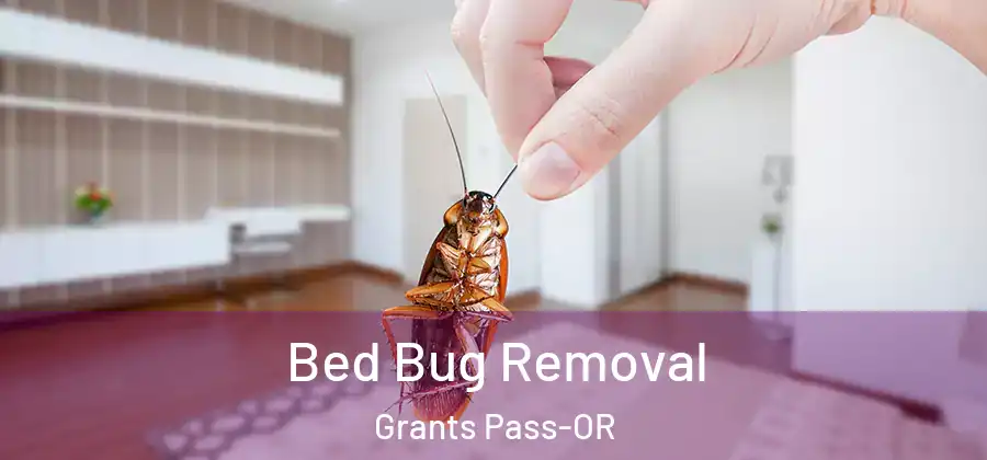  Bed Bug Removal Grants Pass-OR
