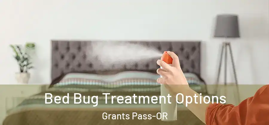  Bed Bug Treatment Options Grants Pass-OR