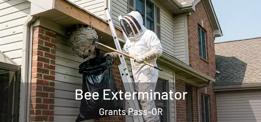  Bee Exterminator Grants Pass-OR