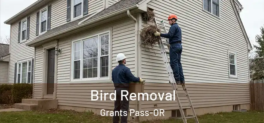  Bird Removal Grants Pass-OR
