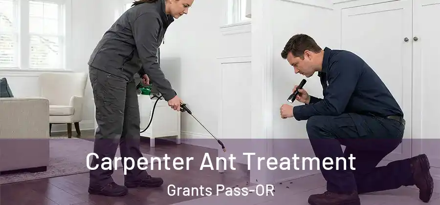  Carpenter Ant Treatment Grants Pass-OR