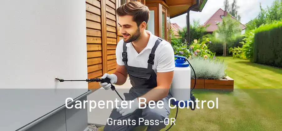  Carpenter Bee Control Grants Pass-OR