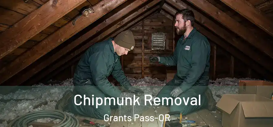  Chipmunk Removal Grants Pass-OR