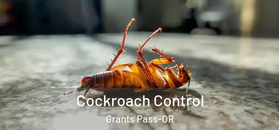  Cockroach Control Grants Pass-OR