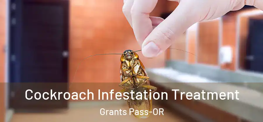  Cockroach Infestation Treatment Grants Pass-OR