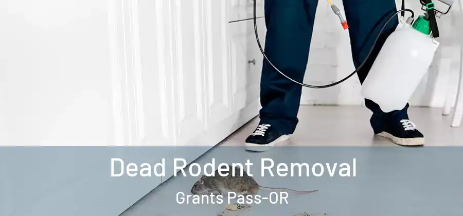  Dead Rodent Removal Grants Pass-OR