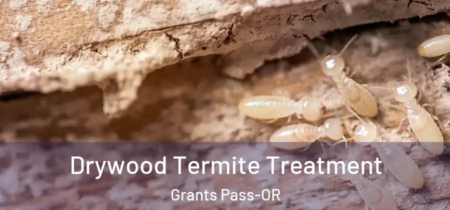  Drywood Termite Treatment Grants Pass-OR