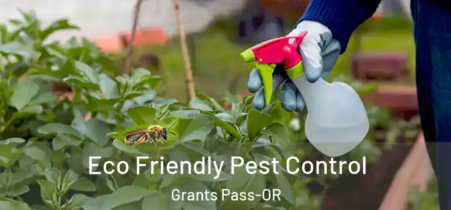  Eco Friendly Pest Control Grants Pass-OR