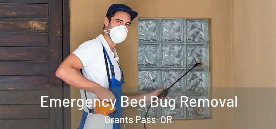  Emergency Bed Bug Removal Grants Pass-OR