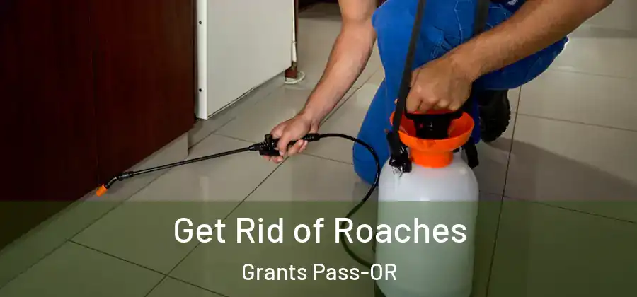 Get Rid of Roaches Grants Pass-OR
