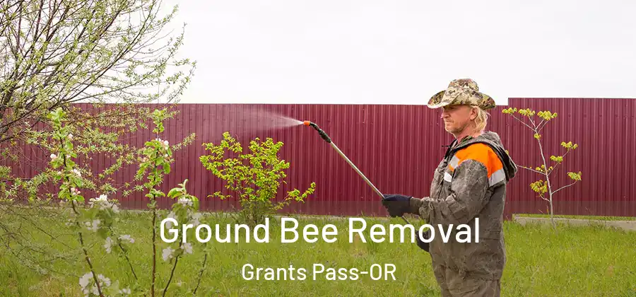  Ground Bee Removal Grants Pass-OR