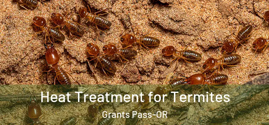  Heat Treatment for Termites Grants Pass-OR