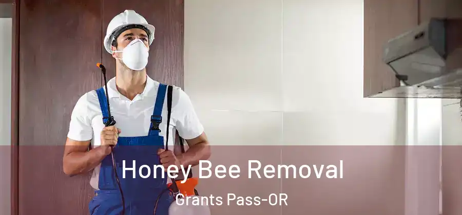  Honey Bee Removal Grants Pass-OR