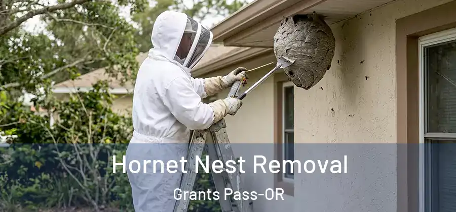  Hornet Nest Removal Grants Pass-OR