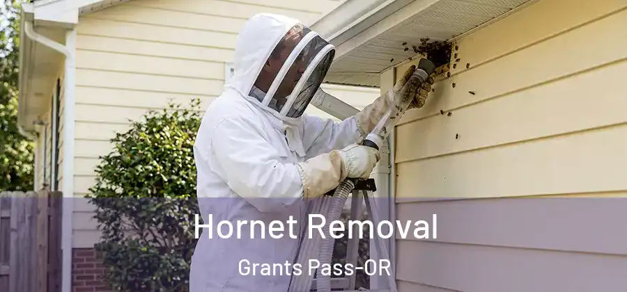  Hornet Removal Grants Pass-OR