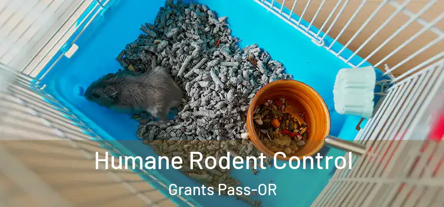  Humane Rodent Control Grants Pass-OR