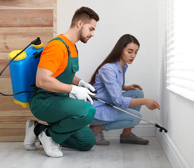 Trusted Affordable Bed Bug Treatment Experts in Grants Pass, OR