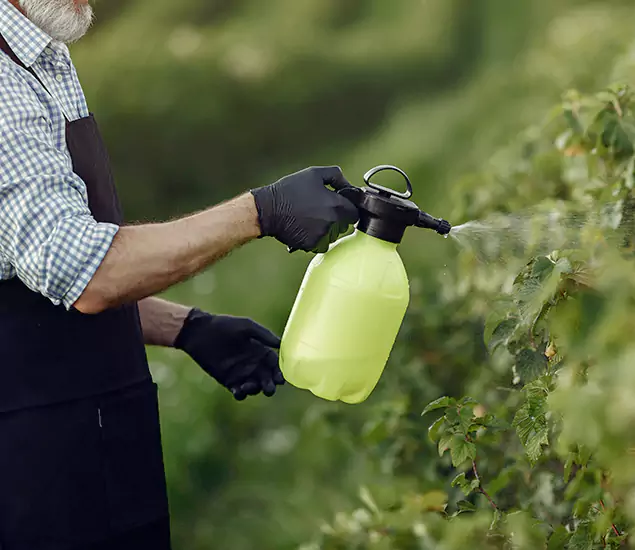 Your Proven Mosquito Treatment Company in Grants Pass, OR