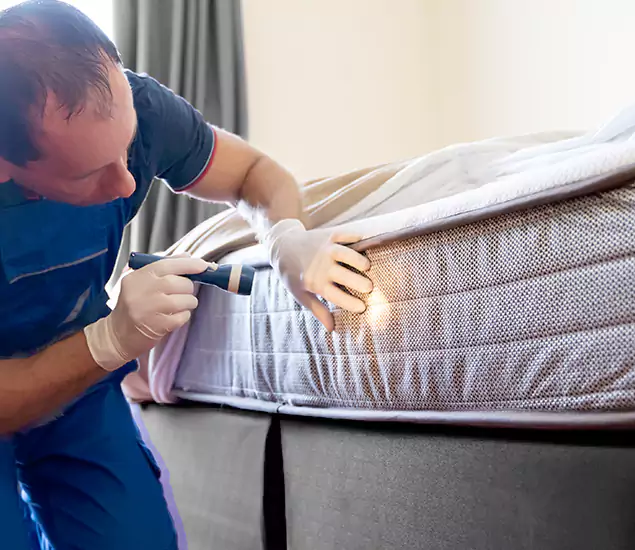Trusted Bed Bug Cost Experts in Grants Pass, OR
