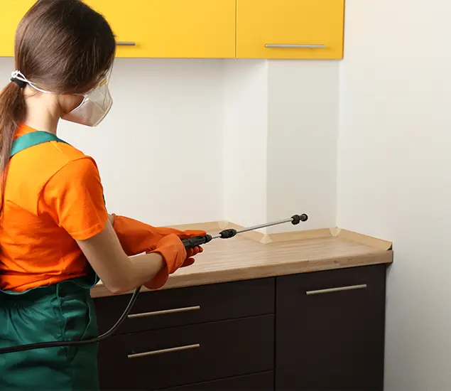 Trusted Bed Bug Pest Control Specialist in Grants Pass, OR