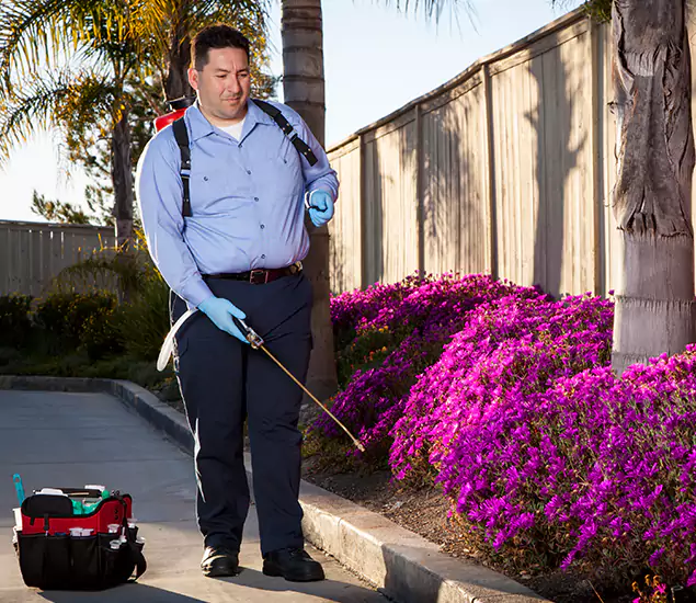 About Our Eco Safe Pest Control Experts in Grants Pass, OR
