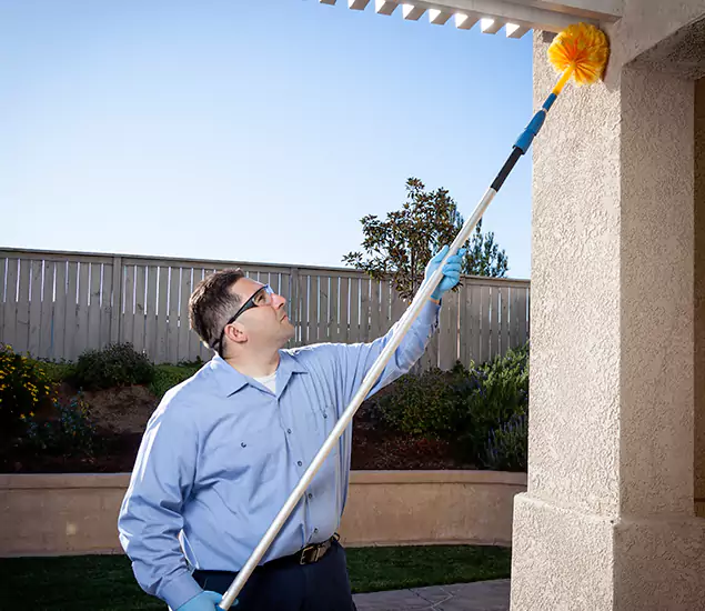 Trusted Experts in Grants Pass OR for Formosan Termite Treatment and Black Termite Control