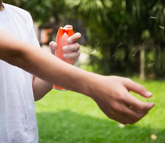 Your Best Indoor Bug Killer Team in Grants Pass, OR
