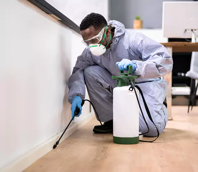 Leading Industrial Pest Control Experts Serving Grants Pass, OR