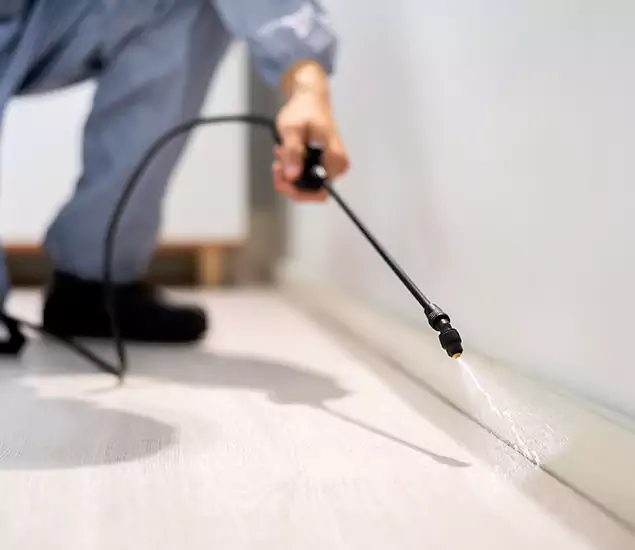About Our Liquid Termite Treatment Experts in Grants Pass, OR