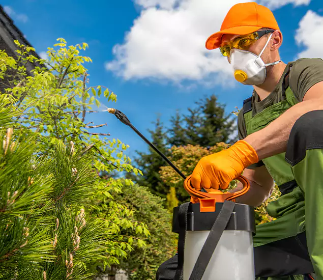 Your Mosquito Repellent Barrier Service in Grants Pass, OR