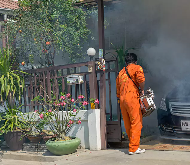 Your Proven Mosquito Fogging Company in Grants Pass, OR