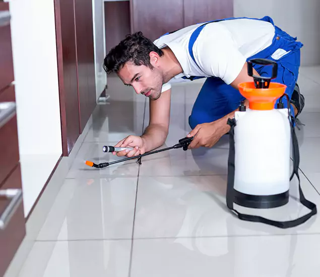 Reliable Professional Mouse Removal: Your Best Mouse Control Company in Grants Pass, OR