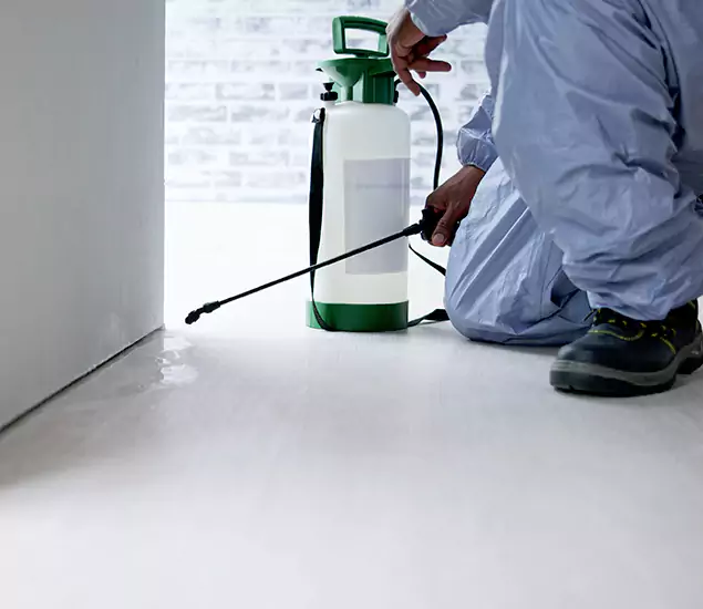Affordable Pest Control Experts in Grants Pass, OR