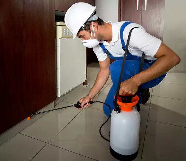Advanced Termite Pre Treatment Experts in Grants Pass, OR