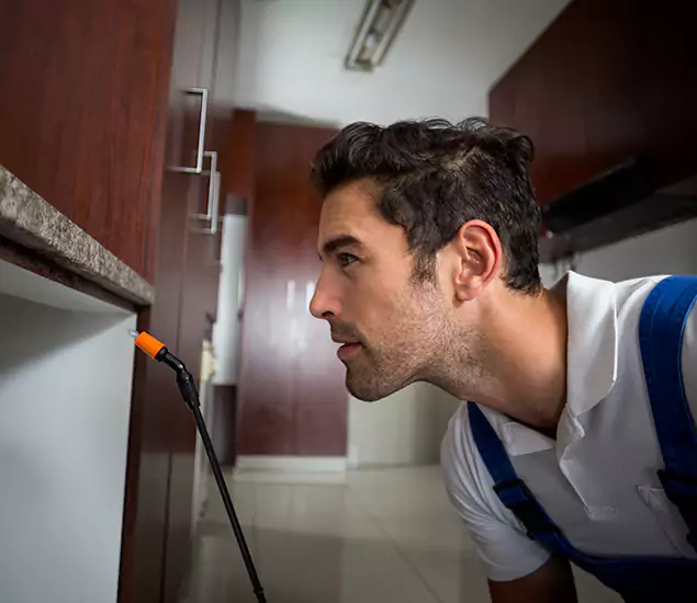Expert Rodent in Attic Removal: Your Proven Pest Specialists in Grants Pass, OR